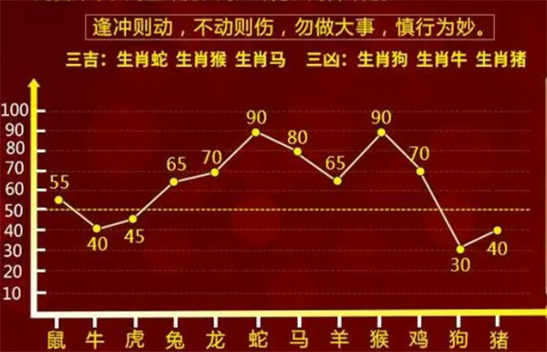 一肖一码一特一中,词语释义解释与落实展望